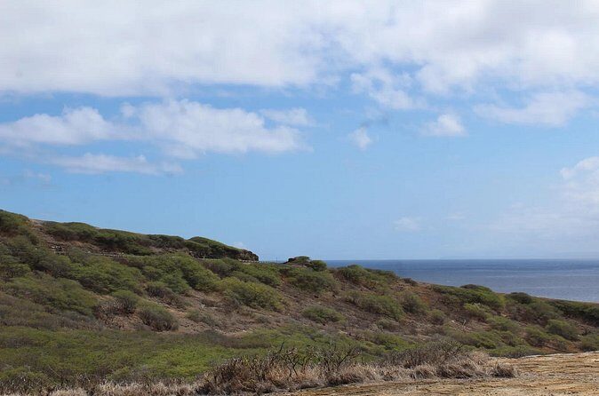 Hanauma Bay Admission Tickets with Transportation - The Value and Cost