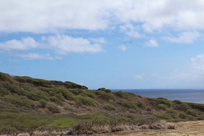 Hanauma Bay Admission Tickets with Transportation - Practical Tips for Travelers