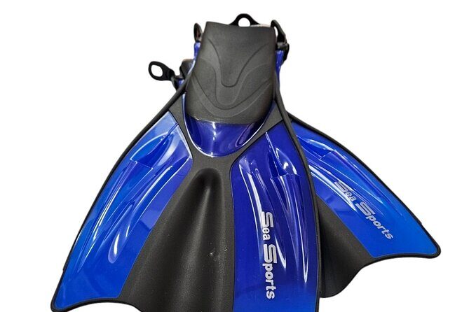 Hanauma Bay Experience with Admission Ticket and Equipment - The value of this tour