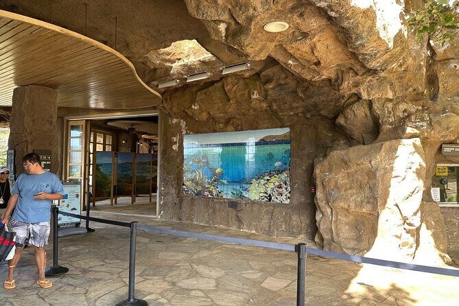 Hanauma Bay Snorkel Lesson - The Sum Up: Is This Tour Right for You?