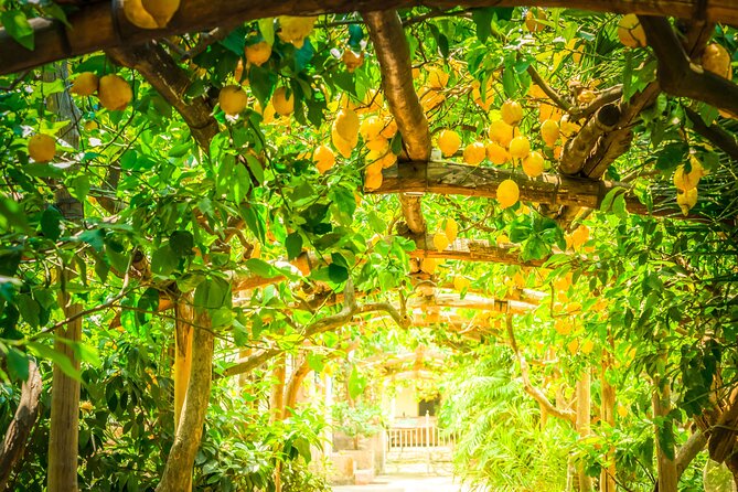 Hands-On Cooking Class & Farmhouse Visit in the Amalfi Coast - Group Size and Age Suitability