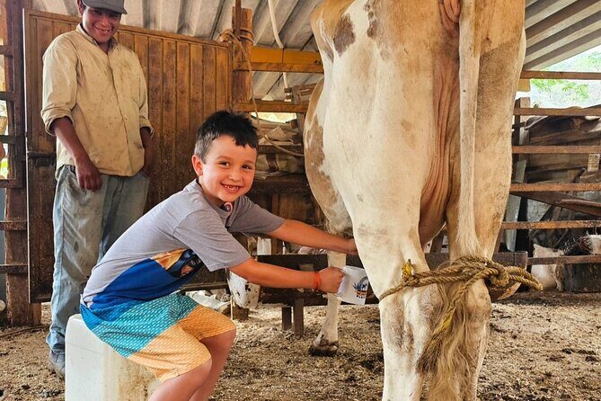 Hands-on Mexican Farm Experience: from Cow to Cheese - The Itinerary: What to Expect