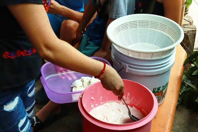 Hands-on Mexican Farm Experience: from Cow to Cheese - Authentic Experiences Valued by Travelers