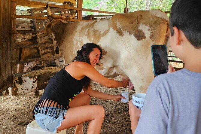 Hands-on Mexican Farm Experience: from Cow to Cheese - The Sum Up: Who Will Love This Tour?