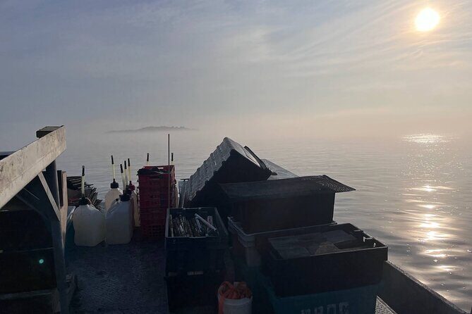 Hands-On Oyster Farm Experience in Plymouth - Practical Details & Tips