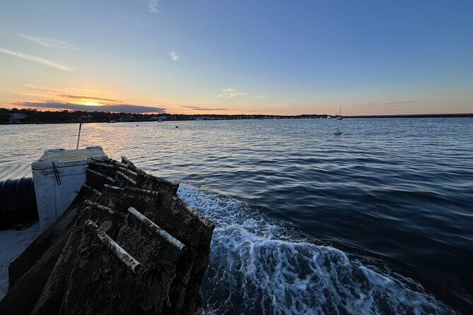 Hands-On Oyster Farm Experience in Plymouth - FAQ