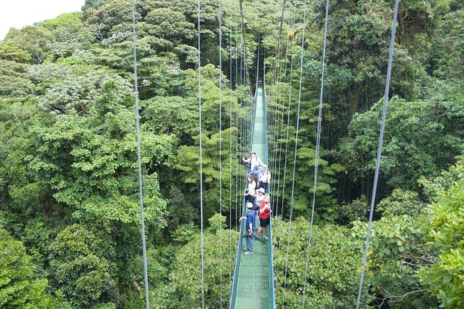 Hanging Bridges and Nature Preserve at Tenorio Volcano - Greenhouse and Butterfly Garden