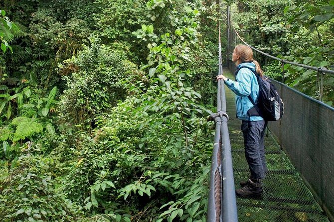 Hanging Bridges and Nature Preserve at Tenorio Volcano - Guides and Tour Insights