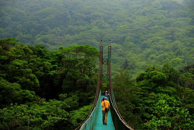 Hanging Bridges Guided Walk - Location and Duration
