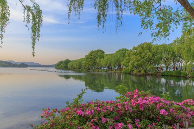 Hangzhou: West Lake and Tea Plantation Day Trip - Pricing and Cancellation