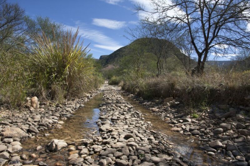 Hankey: Baviaanskloof Full-Day Guided Safari Trip With Lunch - Good To Know