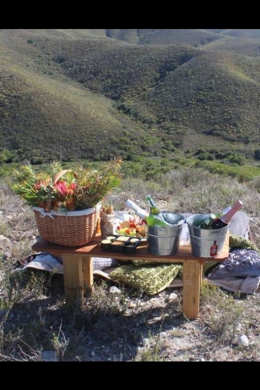 Hankey: Pabala Nature Reserve Game Drive & Picnic With Wine - Good To Know