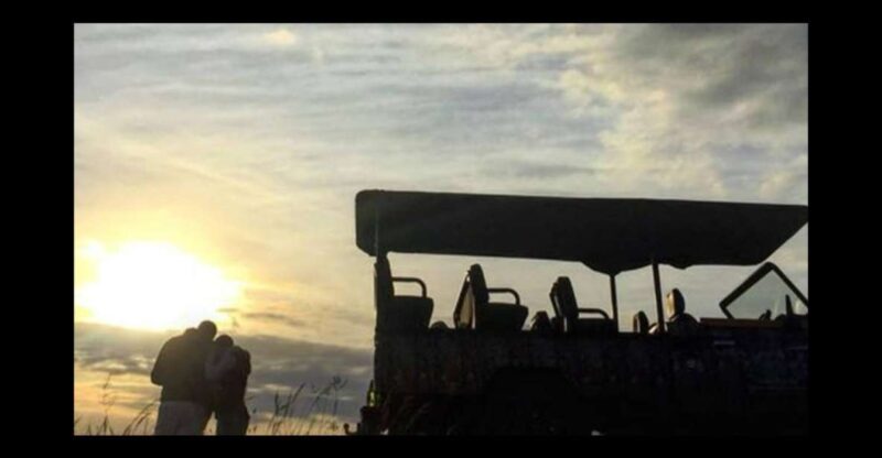 Hankey: Pabala Nature Reserve Game Drive & Picnic With Wine - Embarking on the Game Drive