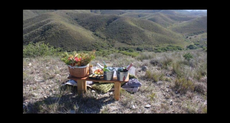 Hankey: Pabala Nature Reserve Game Drive & Picnic With Wine - Indulging in the Picnic Experience