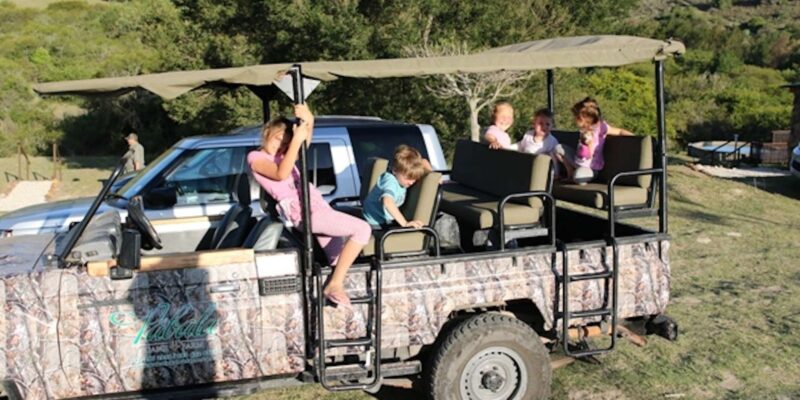 Hankey: Pabala Private Nature Reserve Game Drive With Snacks - Benefits of the Experience