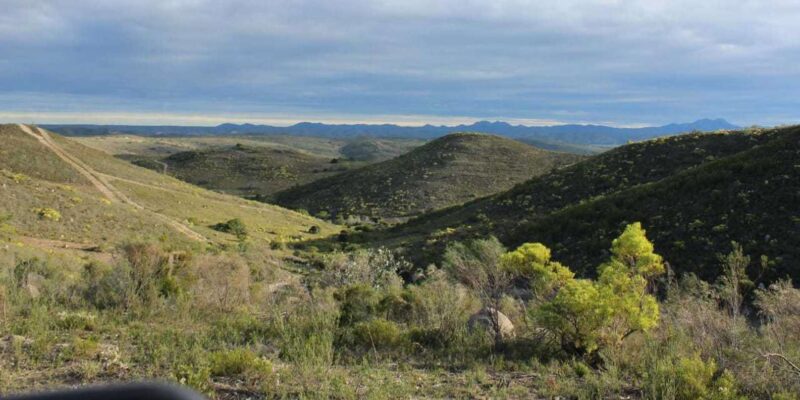 Hankey: Pabala Private Nature Reserve Game Drive With Snacks - Age and Accessibility Restrictions