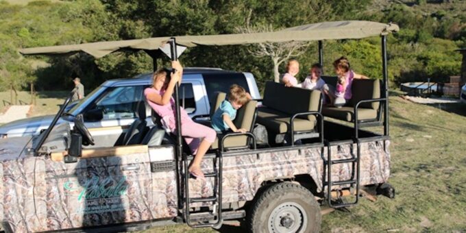 Hankey: Pabala Private Nature Reserve Game Drive With Snacks - The Sum Up