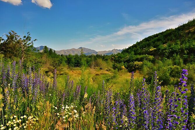 Hanmer Springs Pool Day Tour From Christchurch - FAQ