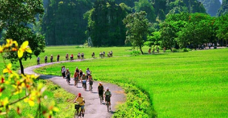 Hanoi: 2-Day Tour to Ninh Binh & Halong Bay With Transfer - Day 1 Itinerary