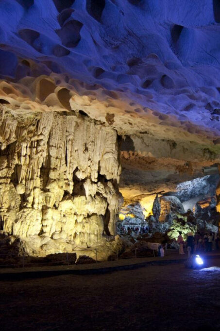 Hanoi: Halong Bay Day Tour 5 Stars Cruise With Buffet Lunch - Dining Experience