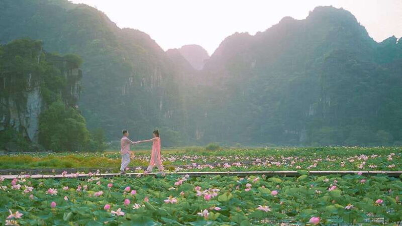 Hanoi: Hoa Lu, Trang An/Tam Coc & Mua Cave With Small Group - Itinerary Highlights