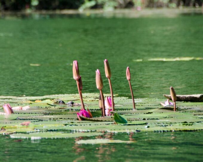 Hanoi: Hoa Lu, Trang An/Tam Coc & Mua Cave With Small Group - Tips for a Memorable Experience