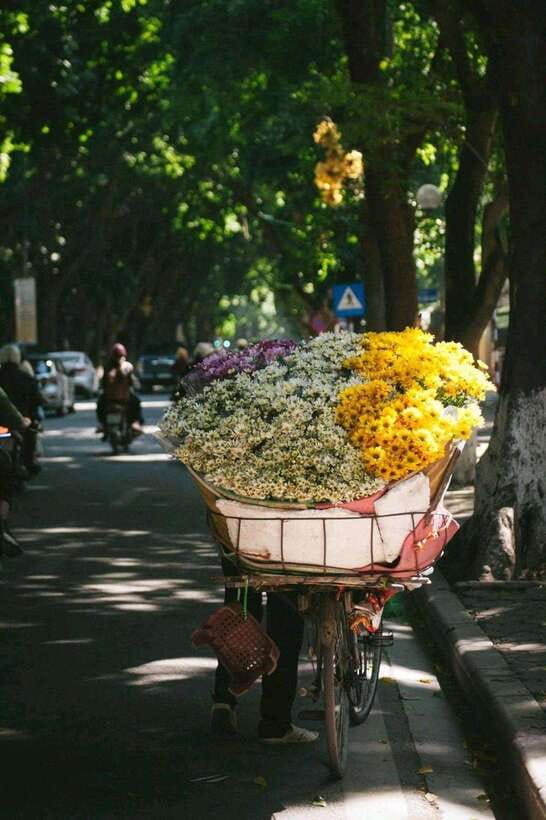 Hanoi Jeep Adventure: A Cultural Journey - Key Points