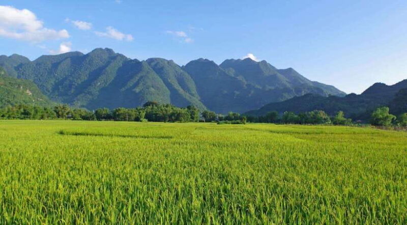 Hanoi: Mai Chau Valley Day Trip With Lunch and Bike Ride - Guided Biking Experience