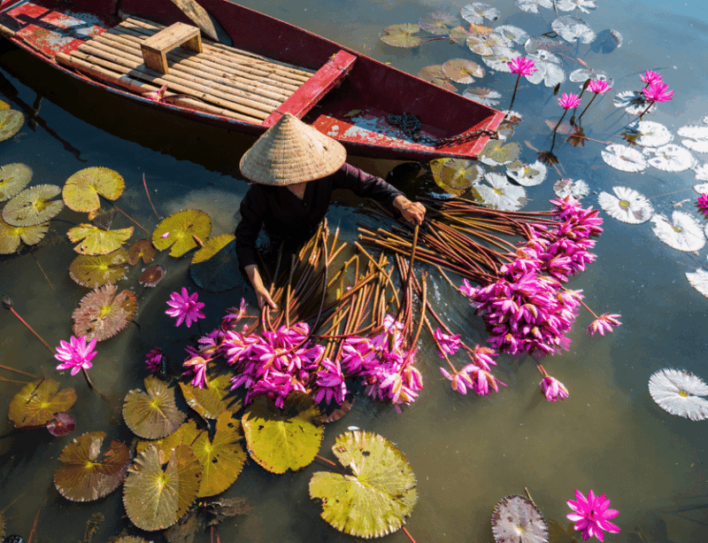 Hanoi: Ninh Binh, Hoa Lu, Tam Coc, Trang-an Private Day-Tour - Trang An Scenic Landscape