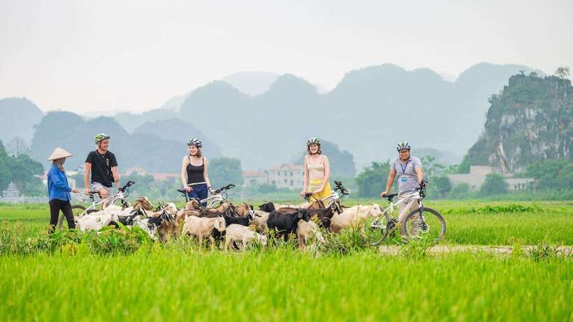 Hanoi: Ninh Binh, Hoa Lu, Tam Coc With Hanoi Food Tour - Hanoi Food Tour Itinerary