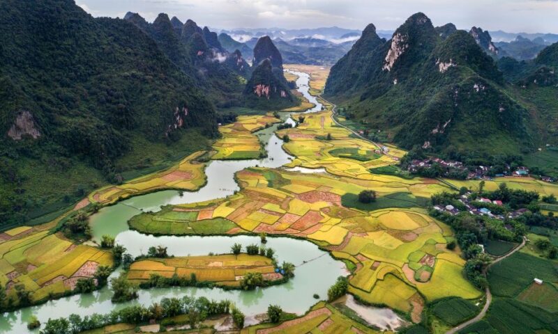 Hanoi to Ninh Binh by Luxury Car Transfer - Culinary Delights to Try