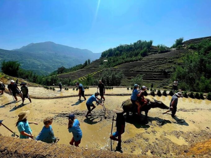 Hanoi: Transfer to or From Sapa by a VIP Sleeper Bus - Frequently Asked Questions