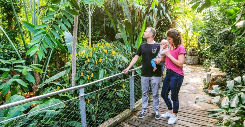 Hanover: SEA LIFE Entry Ticket - Key Points