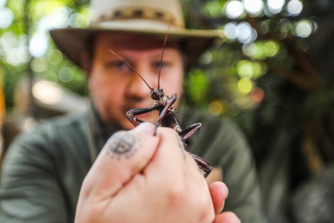 Hanover: SEA LIFE Entry Ticket - Customer Ratings Overview