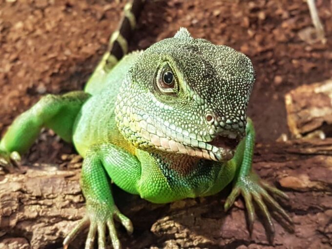 Hanover: SEA LIFE Entry Ticket - Visitor Tips and Directions