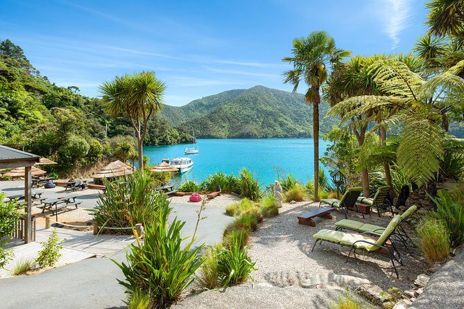 Happy Hour Cruise to Lochmara -from Picton? Take a short cruise - An In-Depth Look at the Experience