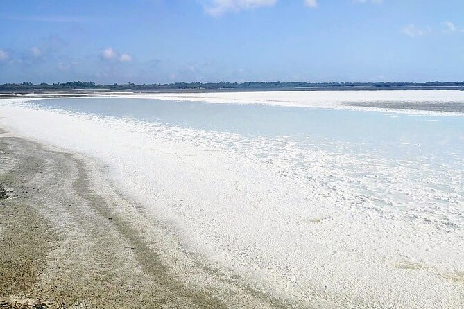 Happy Tour Camargue an Immersion by Bike and Scooter E - Immersive and Authentic Experiences