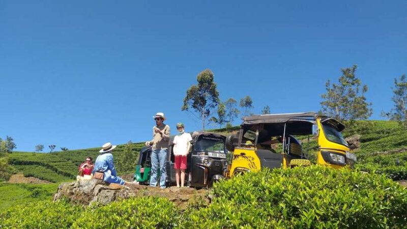 Haputale:Glorious Tuk Tuk Ride to Lipton'sSeat & Tea Factory - Dambatenne Tea Factory: A Step into Tea Production