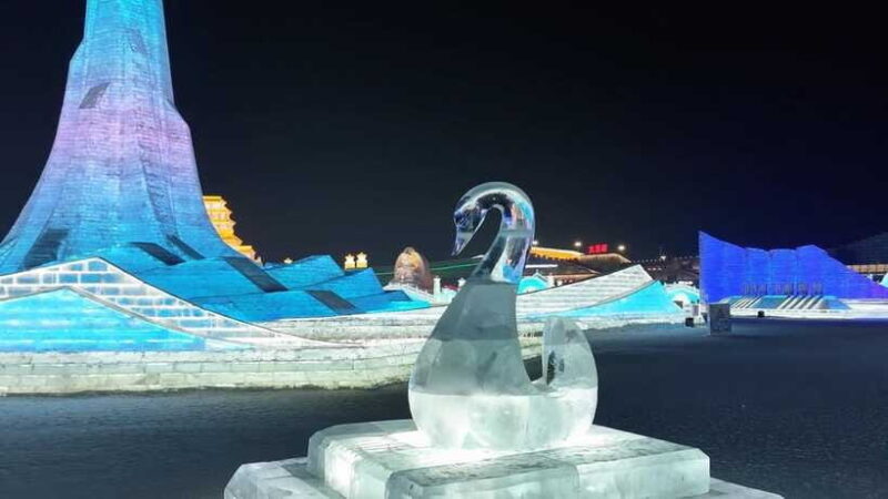 Harbin Ice and Snow Fairyland Private Day Tour - What To Keep in Mind
