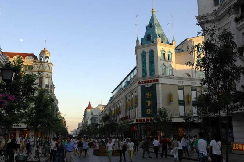 Harbin Ice and Snow Fairyland Private Day Tour - Who Will Love This Tour?