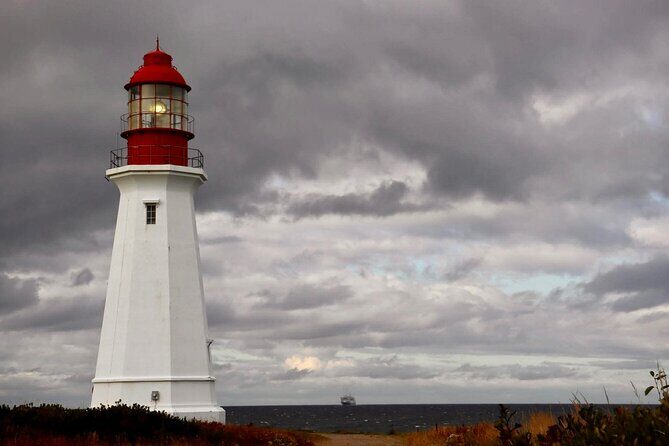 Harbor Highlights: Sydney City Tour - Introduction