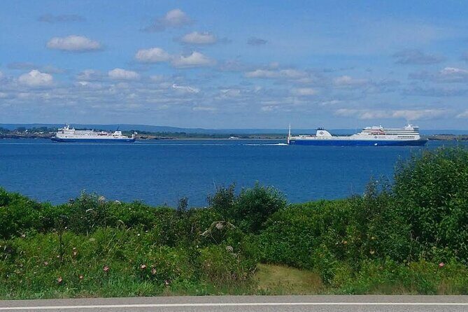 Harbor Highlights: Sydney City Tour - Key Points