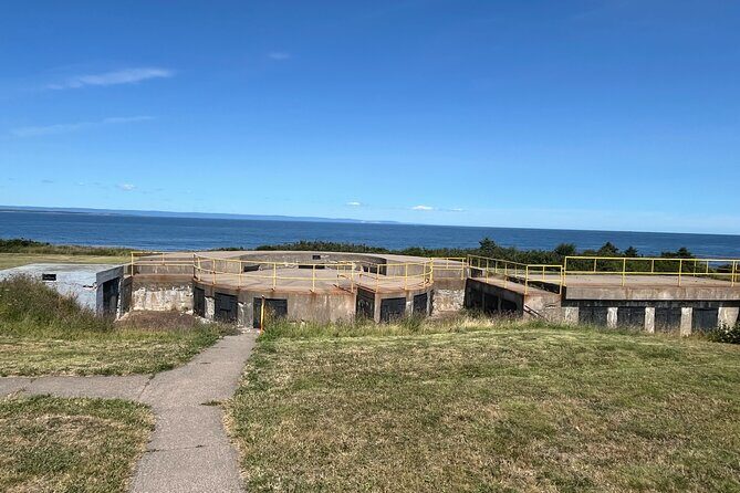 Harbor Highlights: Sydney City Tour - The Experience: Value, Atmosphere, and Authenticity