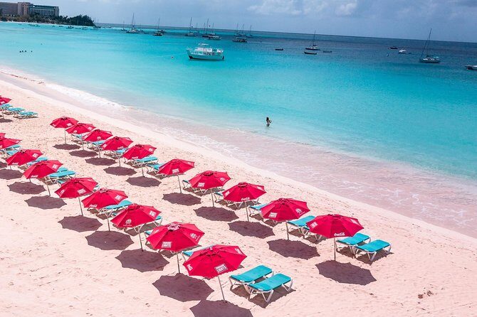 Harbour Lights-Chair &Turtle Shipwreck Snorkel Tour(10:30-1:30pm) - Underwater Highlights and Marine Life