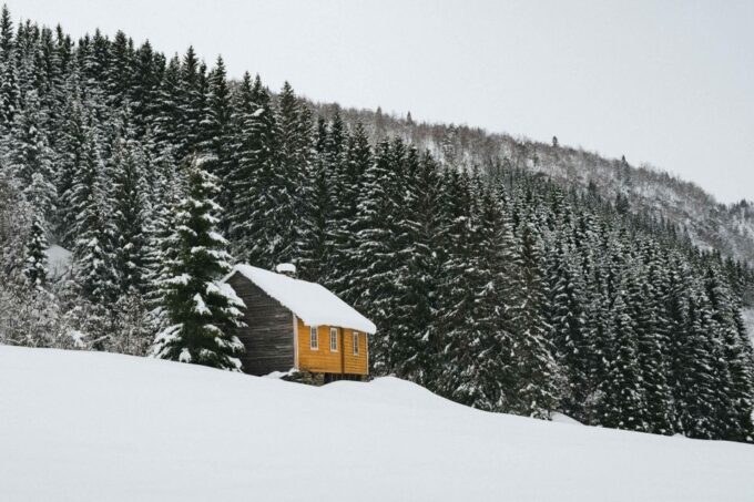 Hardangerfjord: Exclusive Snowshoe Hike With Majestic Views - Booking Your Snowshoe Experience