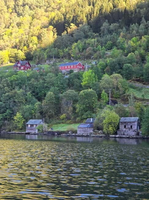 Hardangerfjord: Guided Kayak Tour - The Experience from the Water