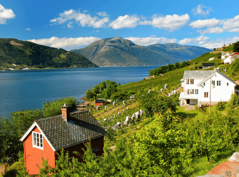 Hardangerfjord Lunch at Cider Farm, Coffee at Historic Hotel - Itinerary Highlights
