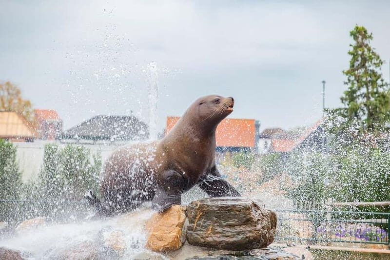 Harderwijk: Dolfinarium Entry Ticket - The Park’s Facilities and Practical Details