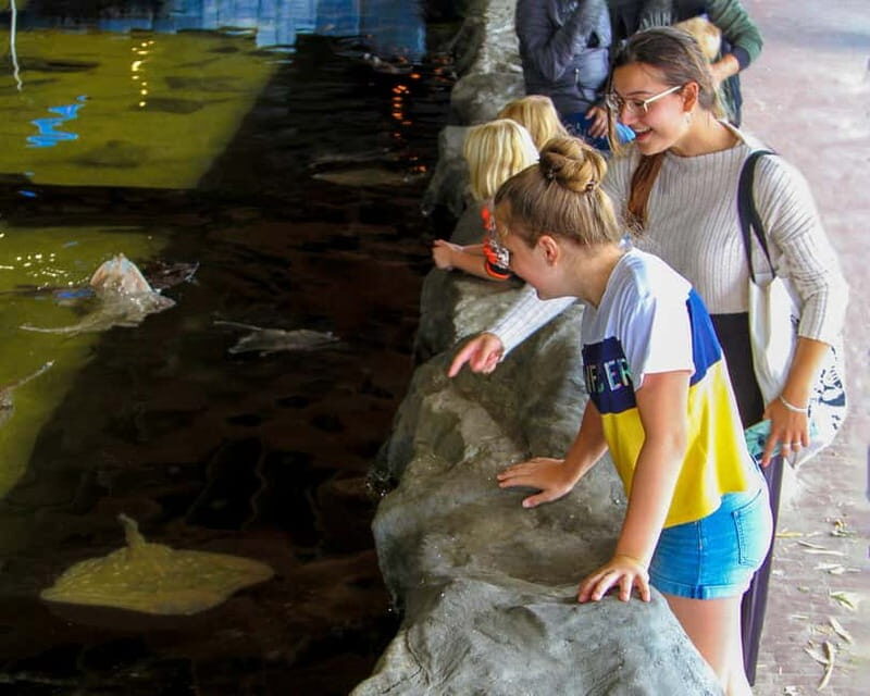 Harderwijk: Dolfinarium Entry Ticket - Reviews and Authentic Perspectives