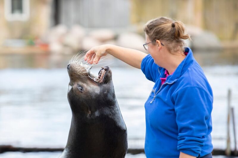 Harderwijk: Dolfinarium Entry Ticket - Visitor Guidelines